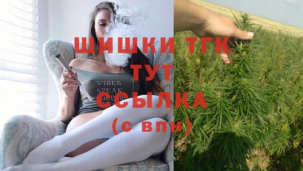 прущие грибы Горняк