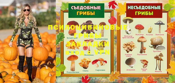 эйфоретик Вязьма