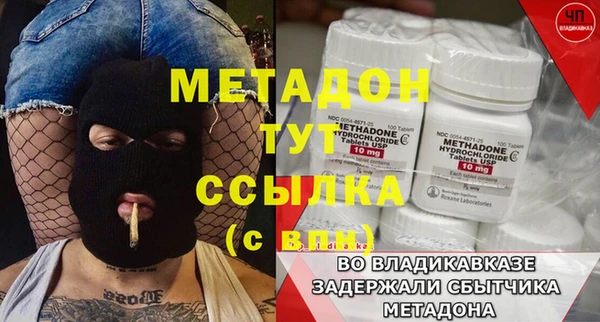 прущие грибы Горняк