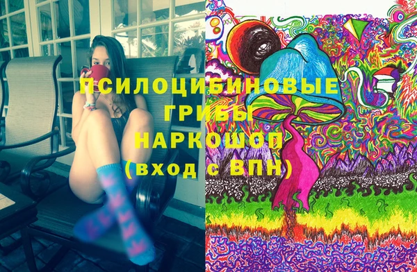 прущие грибы Горняк