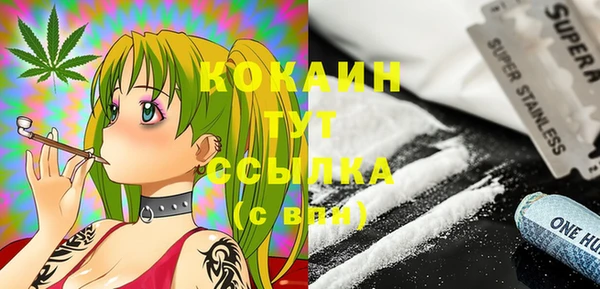прущие грибы Горняк