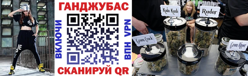 МАРИХУАНА план  продажа наркотиков  гидра   Гусев 